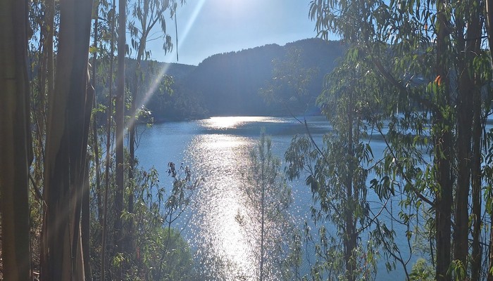 Novembro: Um Mês de Reflexão Espiritual - Portal 11:11